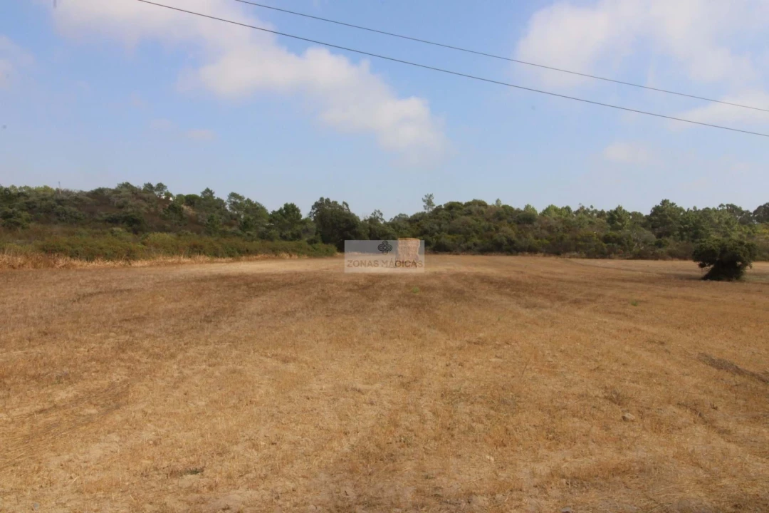 Terreno para Venda em Bordeira Foto 3