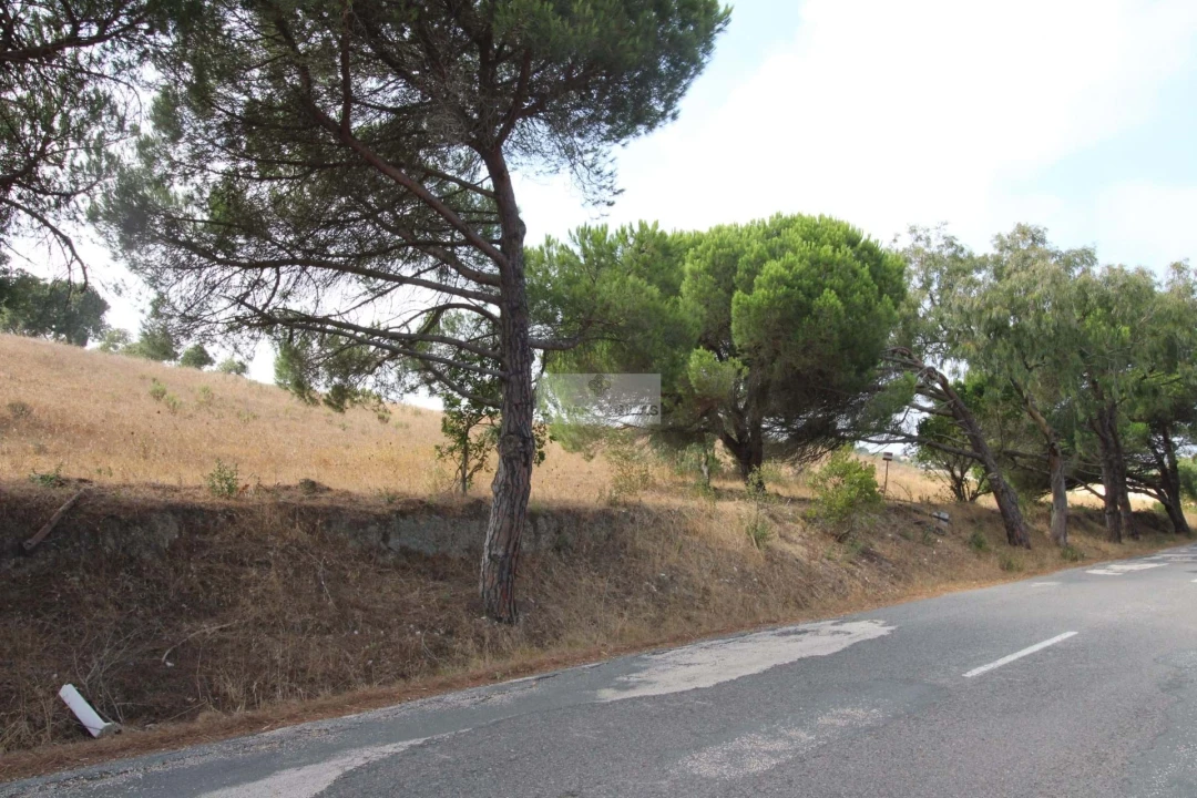 Terreno para Venda em Bordeira Foto 5