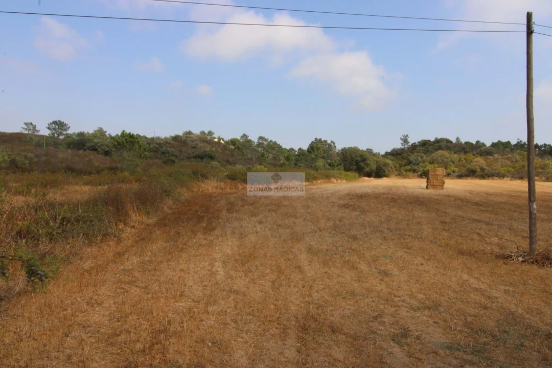 Terreno para Venda em Bordeira Foto 2