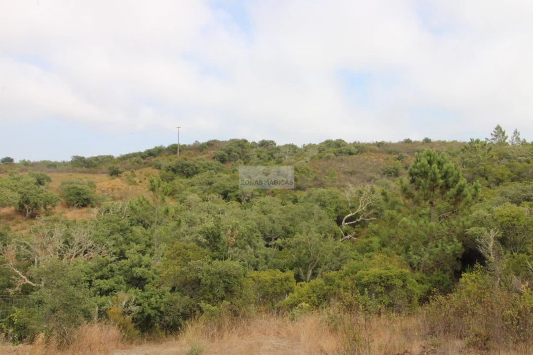 Terreno para Venda em Bordeira Foto 10