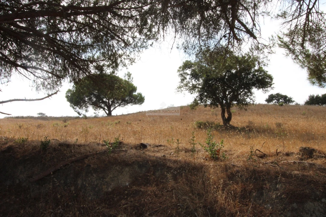 Terreno para Venda em Bordeira Foto 7