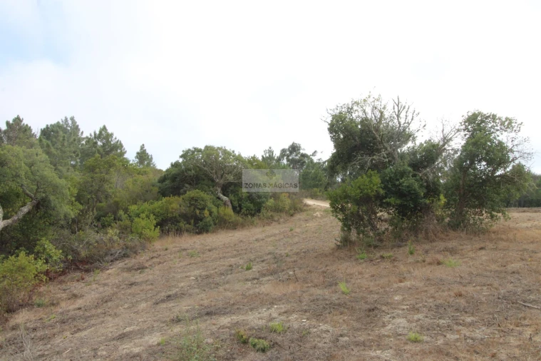 Terreno para Venda em Bordeira Foto 11