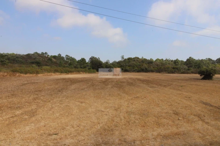 Terreno para Venda em Bordeira Foto 3