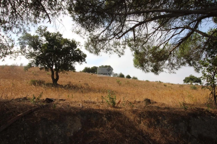 Terreno para Venda em Bordeira Foto 6