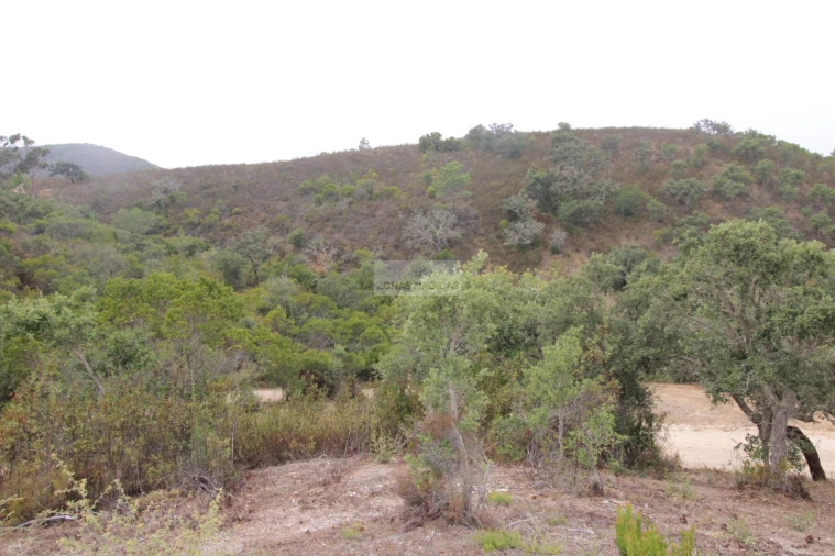 Terreno para Venda em Bordeira Foto 12