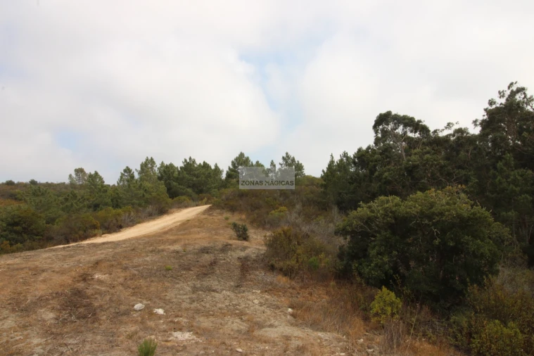 Terreno para Venda em Bordeira Foto 13