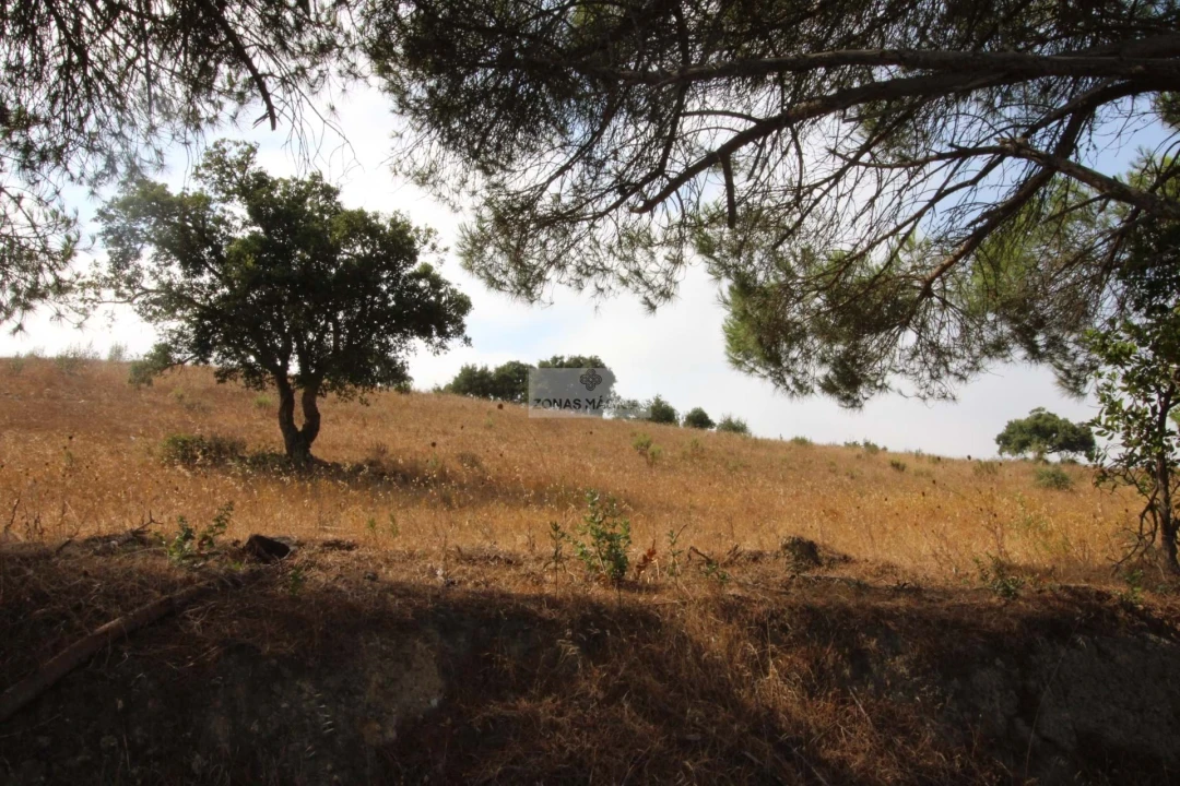 Terreno para Venda em Bordeira Foto 6