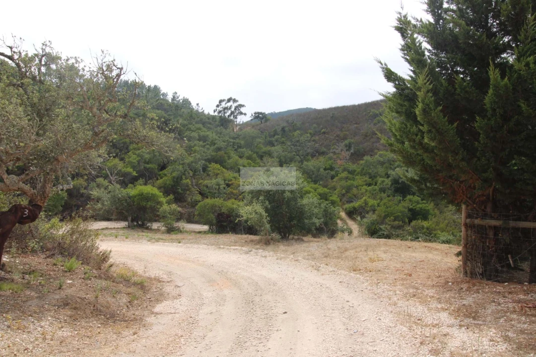 Terreno para Venda em Bordeira Foto 9