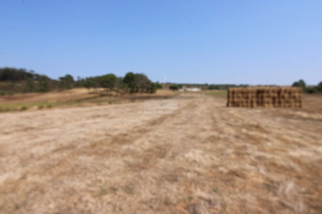 Terreno para Venda em Aljezur Foto 4