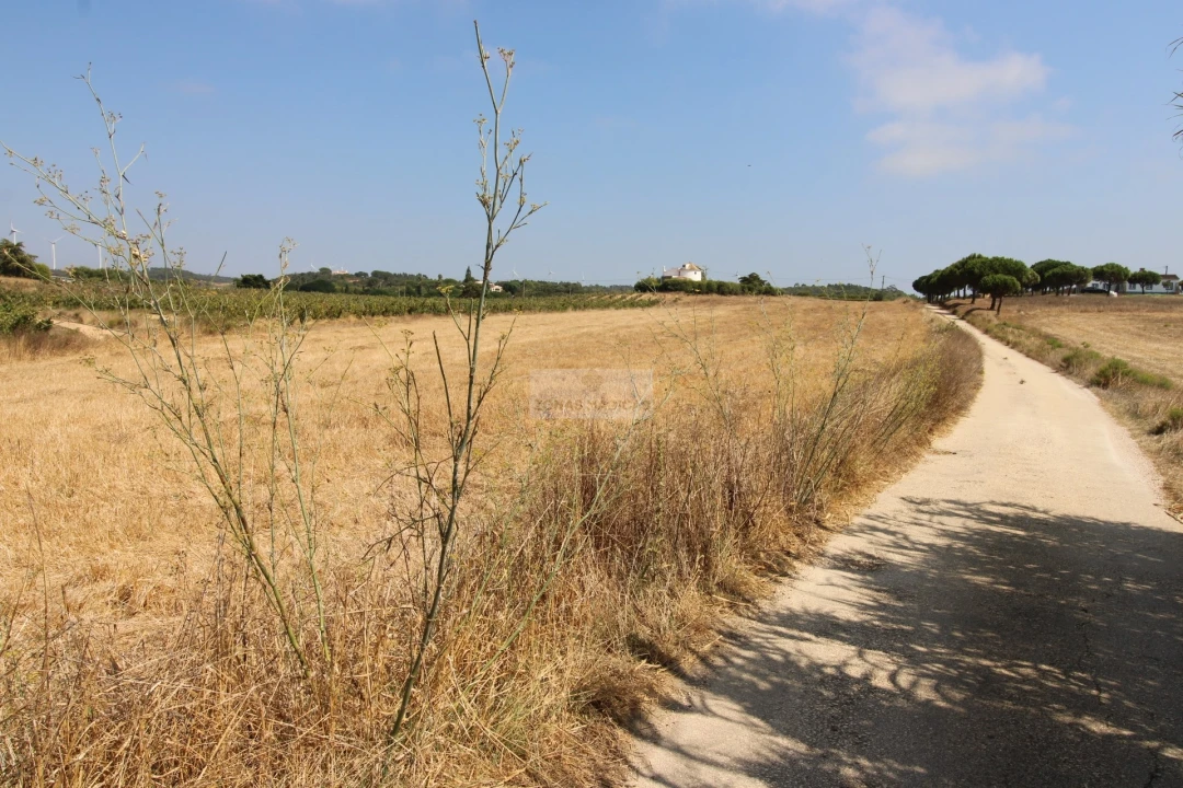 Terreno para Venda em Bordeira Foto 2