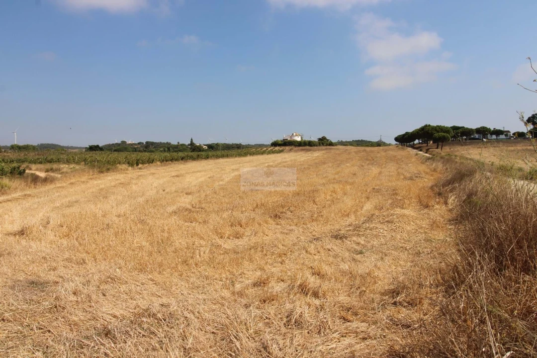 Terreno para Venda em Bordeira Foto 1