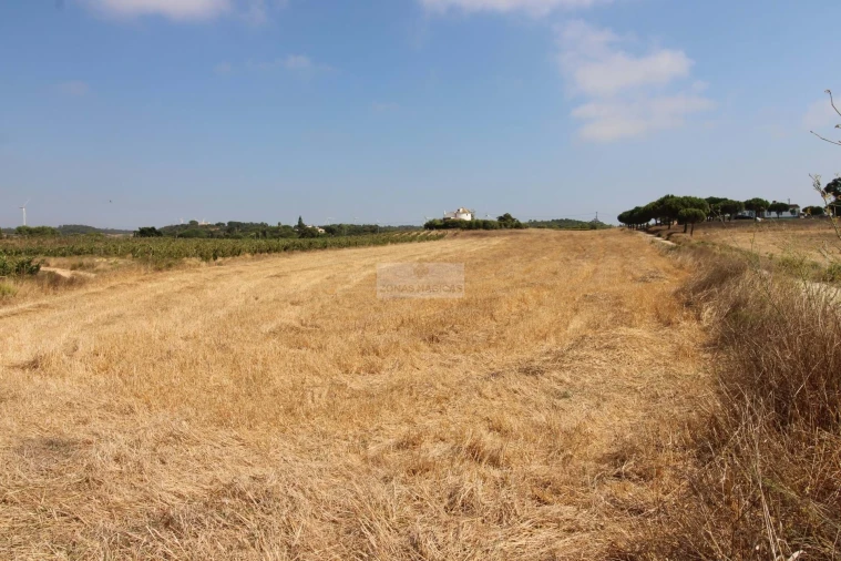 Terreno para Venda em Bordeira