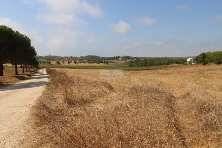 Terreno para Venda em Bordeira Foto 8