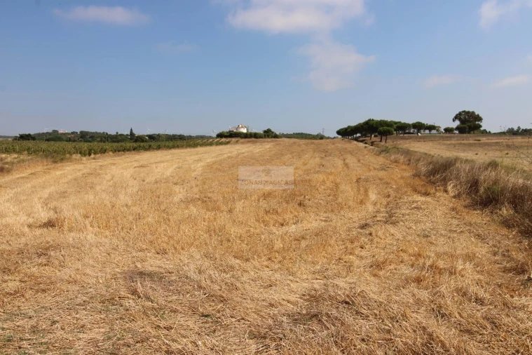 Terreno para Venda em Bordeira Foto 7