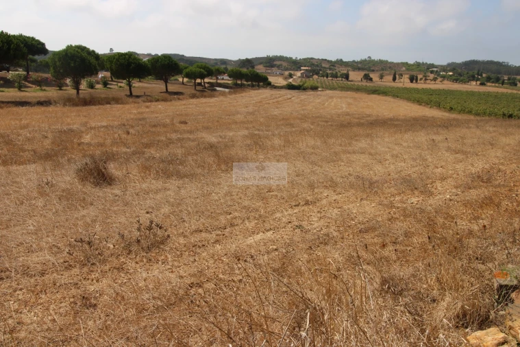 Terreno para Venda em Bordeira Foto 11