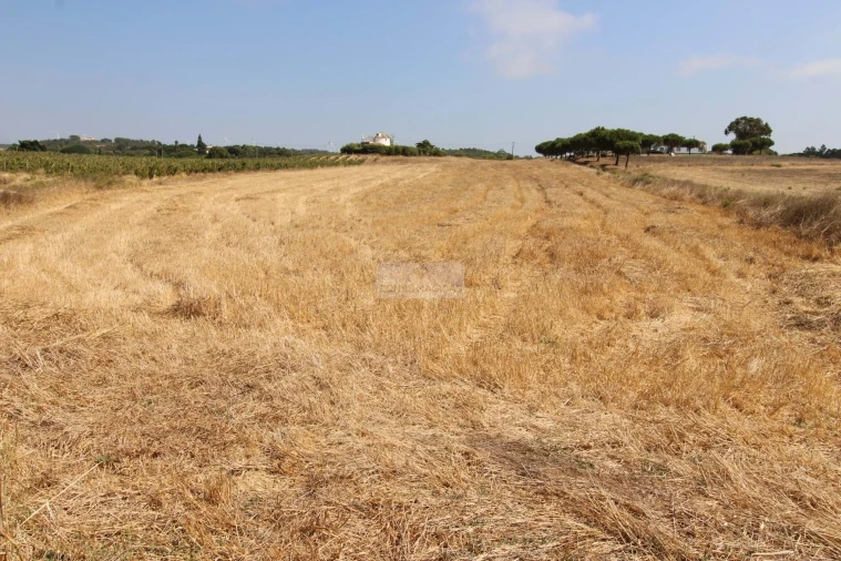 Terreno para Venda em Bordeira Foto 6