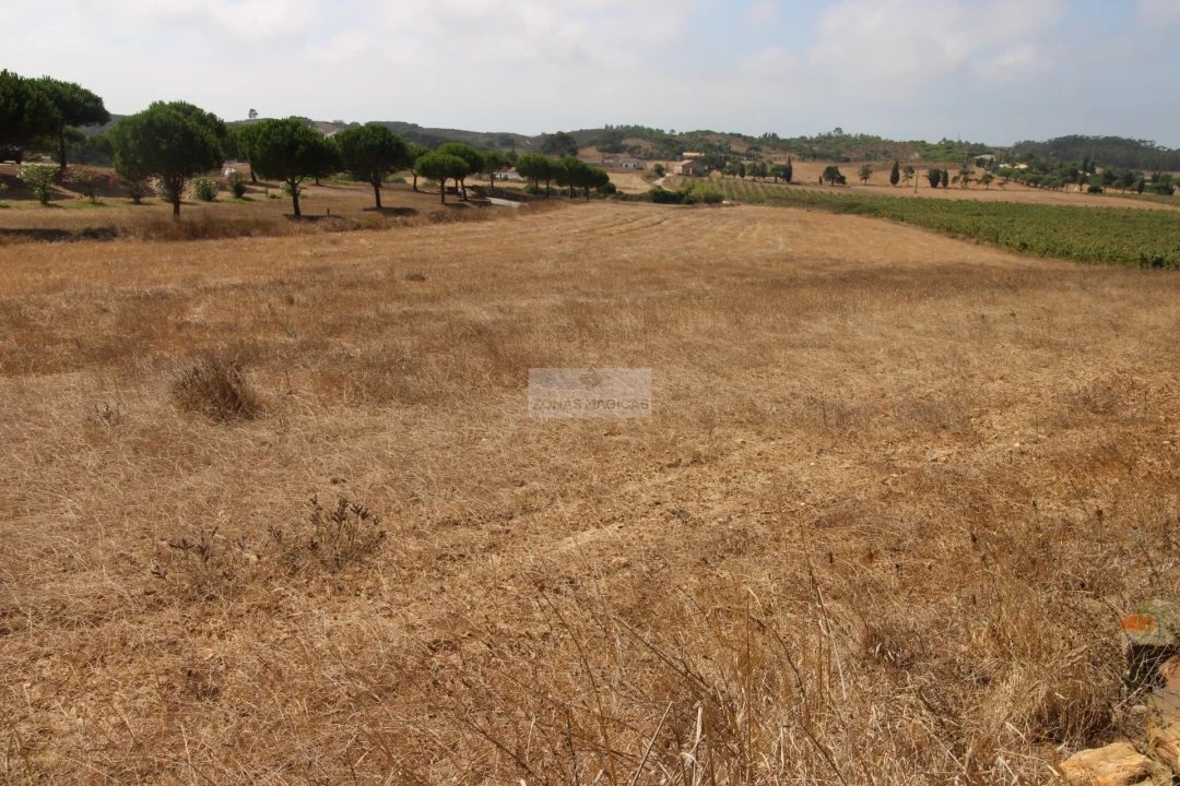 Terreno para Venda em Bordeira Foto 11