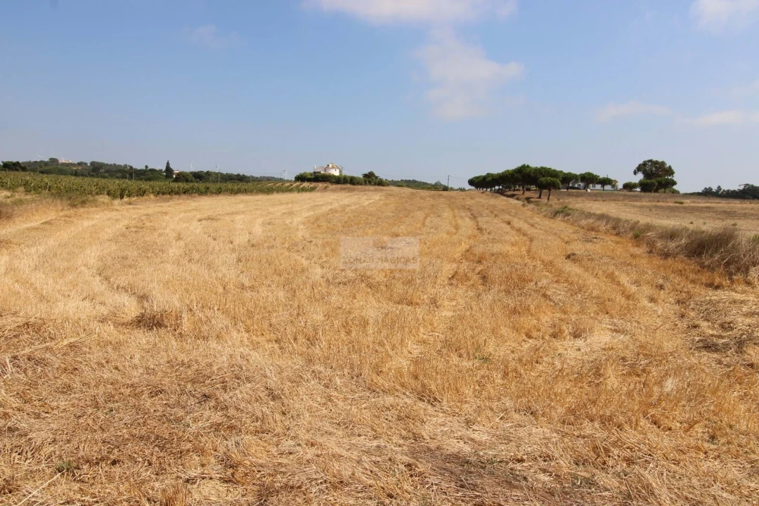 Terreno para Venda em Bordeira Foto 4