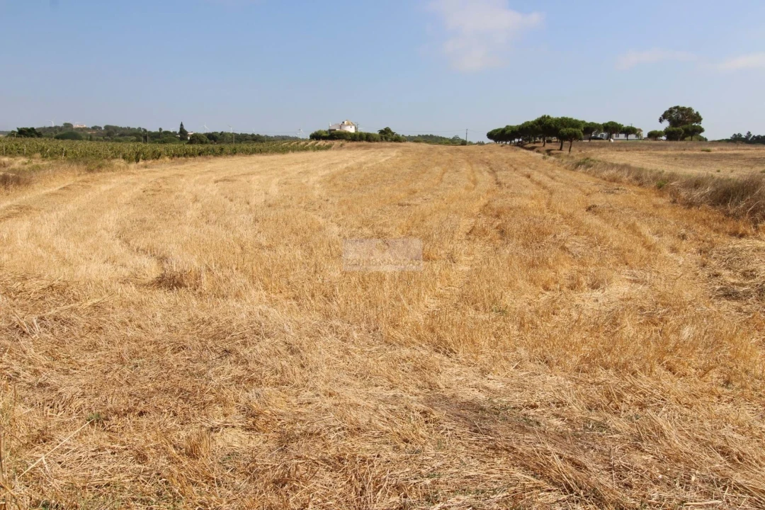 Terreno para Venda em Bordeira Foto 6