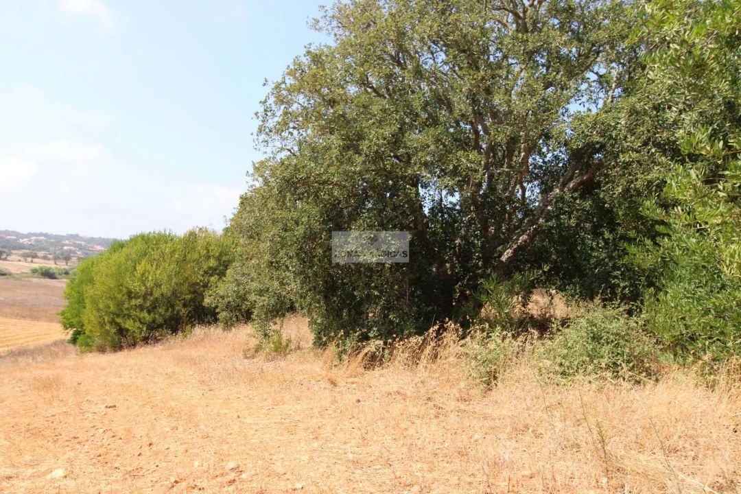 Terreno para Venda em Aljezur Foto 2