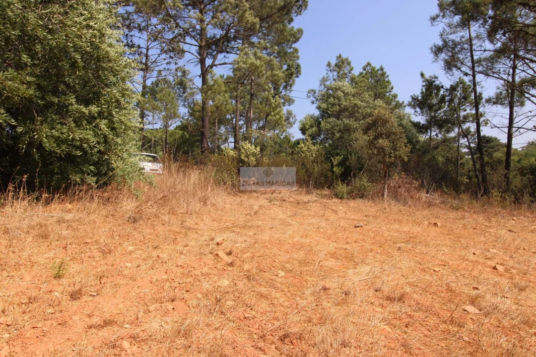 Terreno para Venda em Aljezur Foto 8