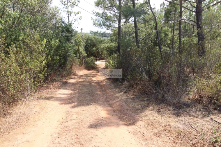 Terreno para Venda em Aljezur Foto 9