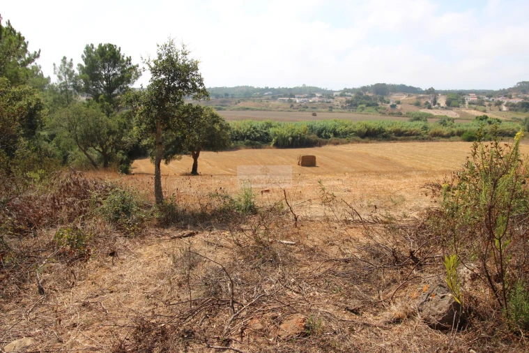 Terreno para Venda em Aljezur Foto 3