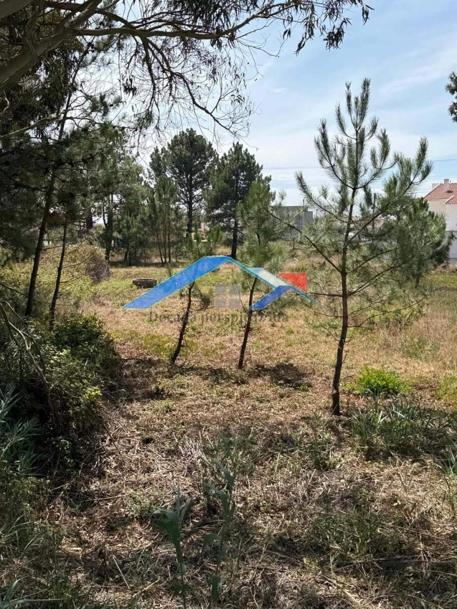 Terreno para Venda em Nazare Foto 3