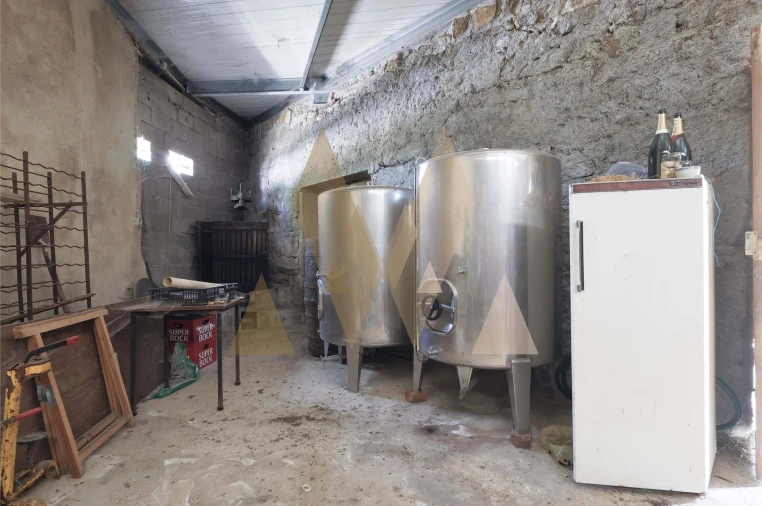 Quinta T5 para Venda em Ardegão, Freixo e Mato Foto 21