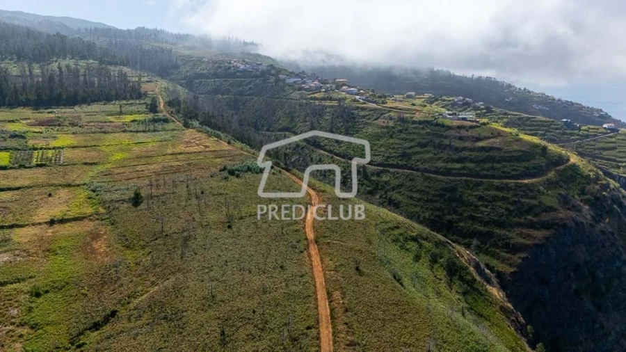 Terreno para Venda em Ponta do Pargo Foto 7