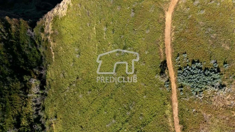 Terreno para Venda em Ponta do Pargo Foto 2