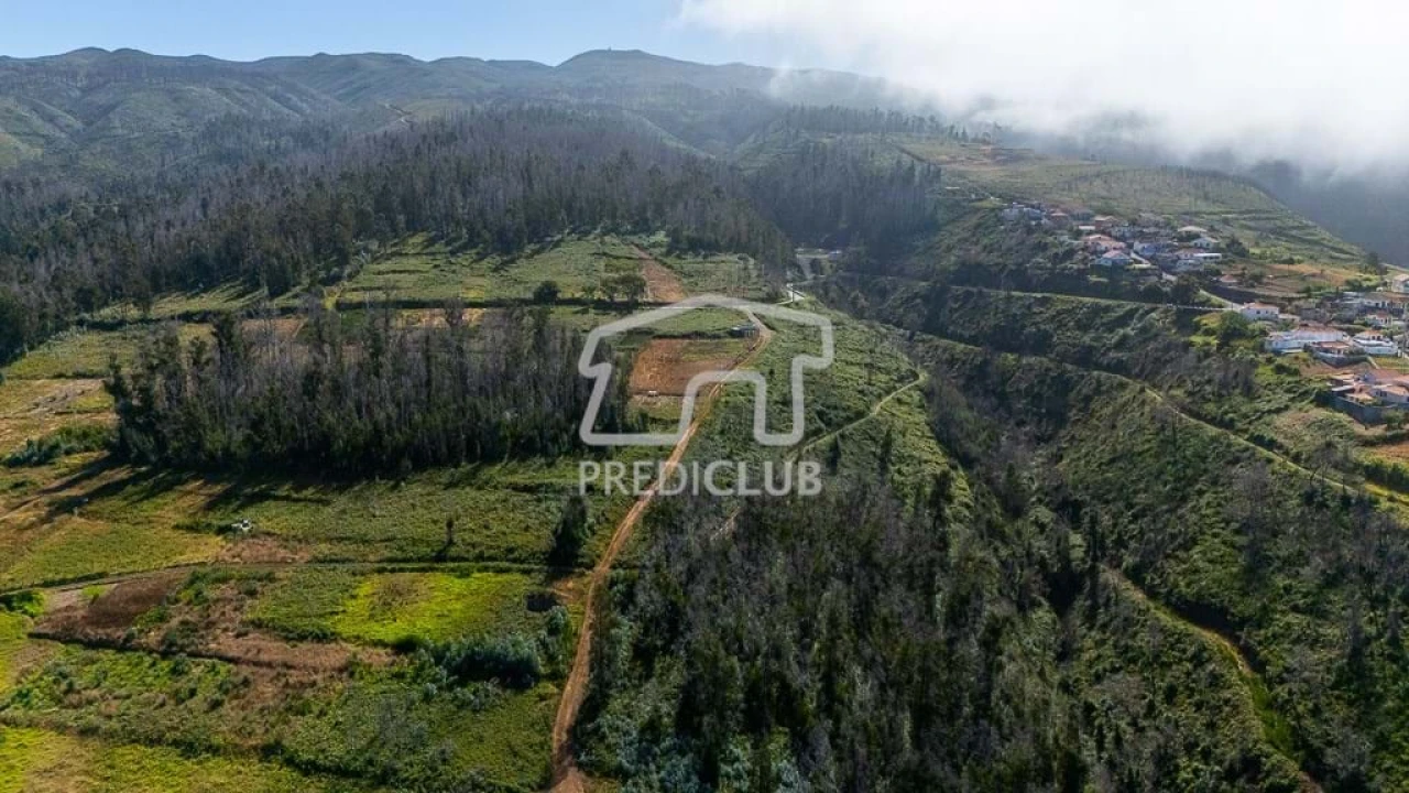 Terreno para Venda em Ponta do Pargo Foto 6