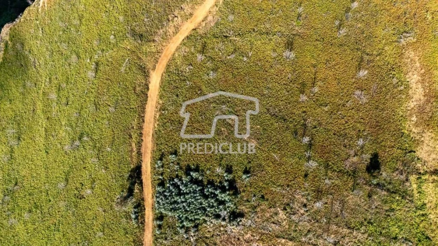 Terreno para Venda em Ponta do Pargo Foto 2