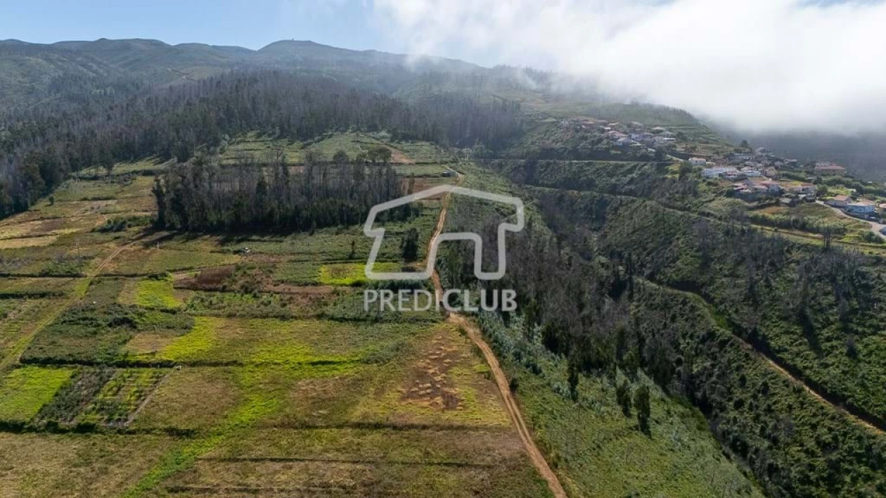 Terreno para Venda em Ponta do Pargo Foto 8