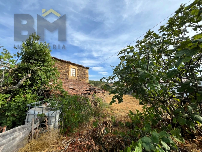 Moradia T2 para Venda em Salgueiro do Campo Foto 6