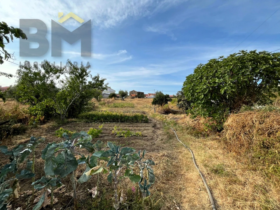 Moradia T2 para Venda em Salgueiro do Campo Foto 15