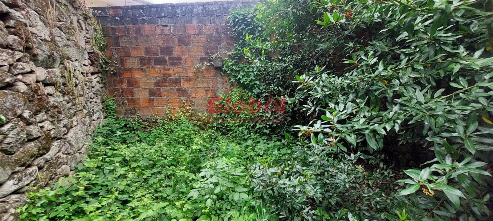 Moradia T0 para Venda em Campo Foto 5
