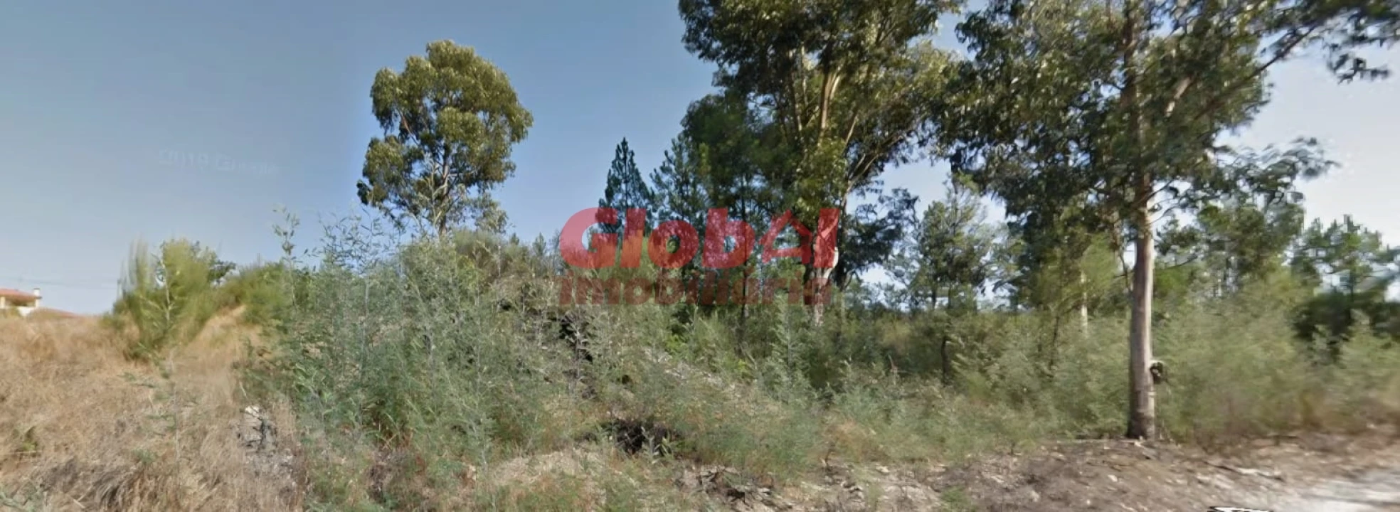 Terreno Agricola ou Rústico para Venda em Rio de Loba Foto 2