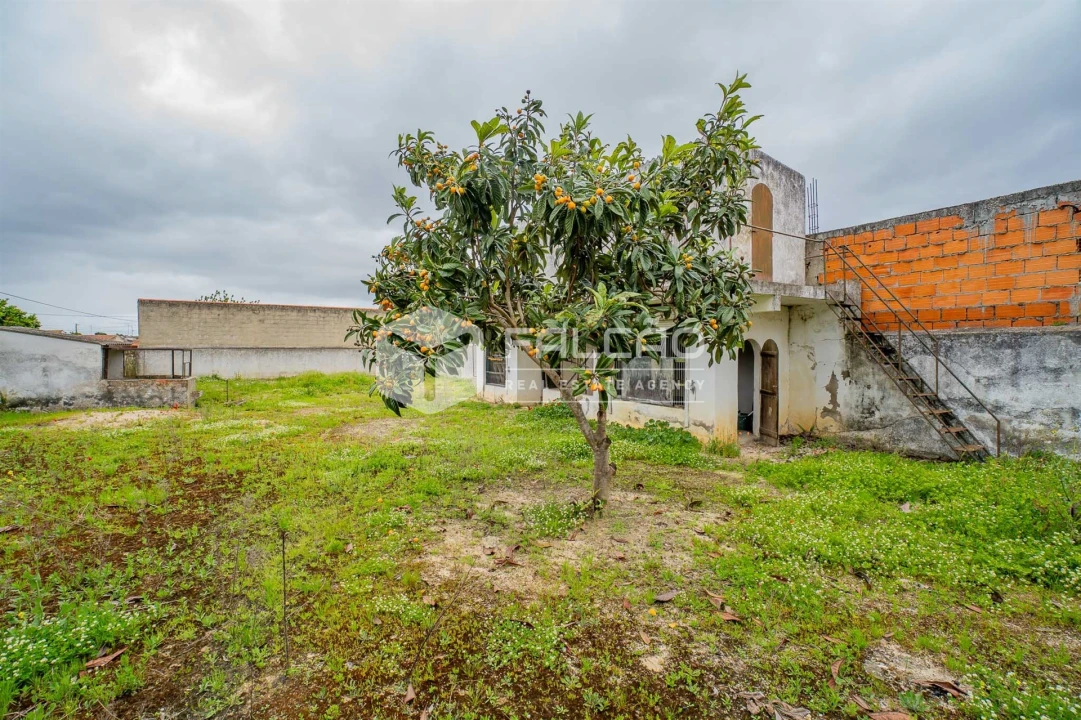 Moradia T5 para Venda em Vila Chã de Ourique Foto 26