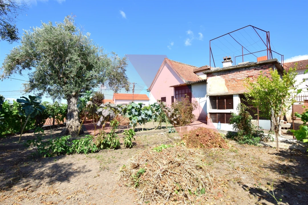 Moradia T2 para Venda em Covas e Vila Nova de Oliveirinha Foto 11