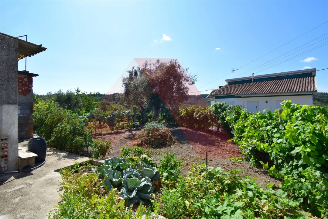 Moradia T2 para Venda em Covas e Vila Nova de Oliveirinha Foto 12