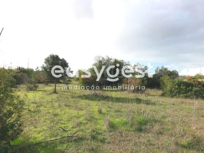 Terreno Agricola ou Rústico para Venda em Pego Foto 4