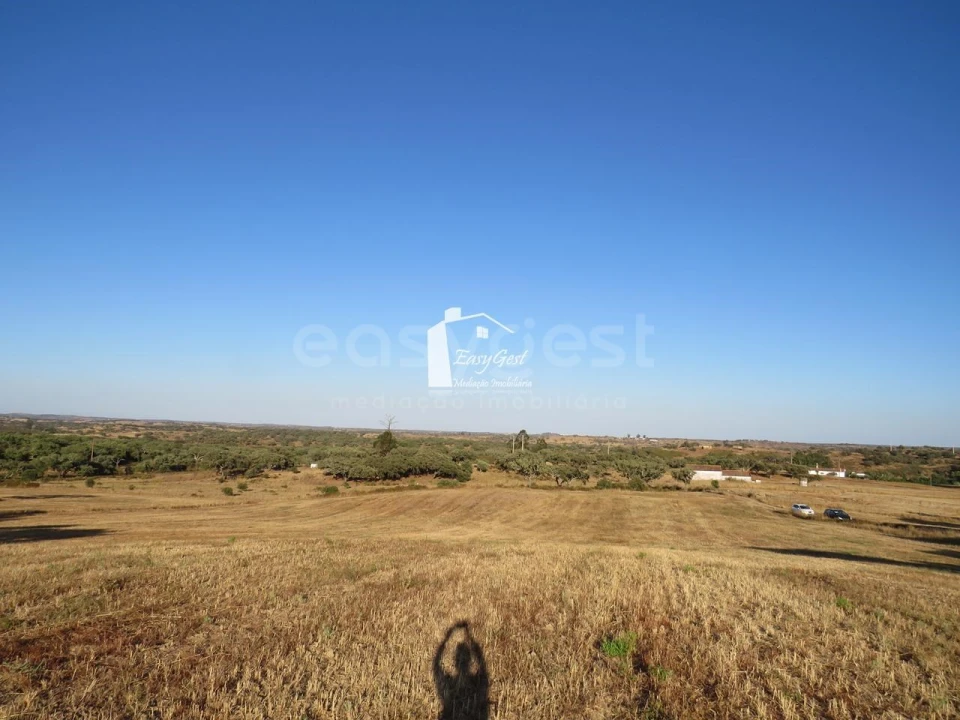 Terreno Agricola ou Rústico para Venda em Ourique Foto 4
