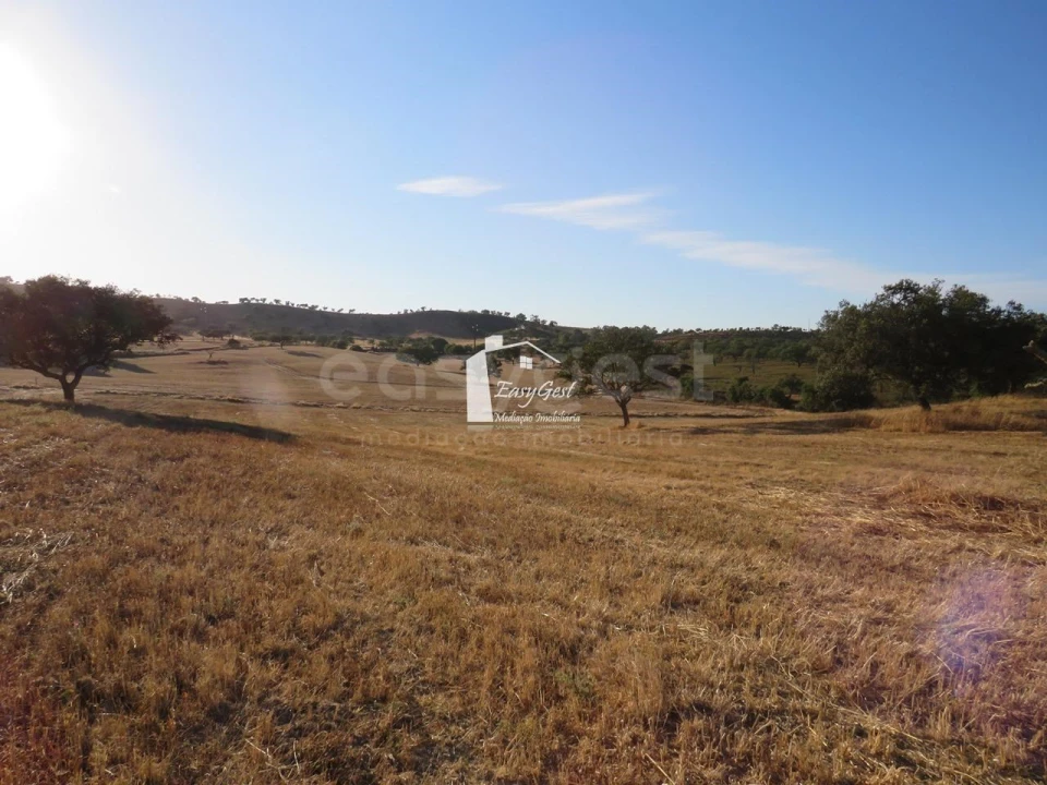 Terreno Agricola ou Rústico para Venda em Ourique Foto 9