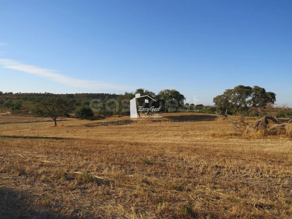 Terreno Agricola ou Rústico para Venda em Ourique Foto 12