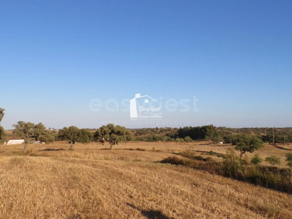 Terreno Agricola ou Rústico para Venda em Ourique Foto 14