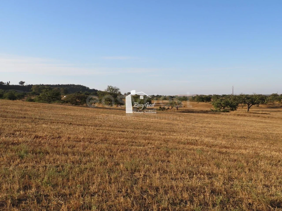 Terreno Agricola ou Rústico para Venda em Ourique Foto 16
