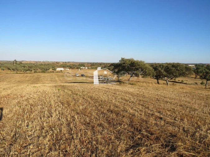 Terreno Agricola ou Rústico para Venda em Ourique Foto 2