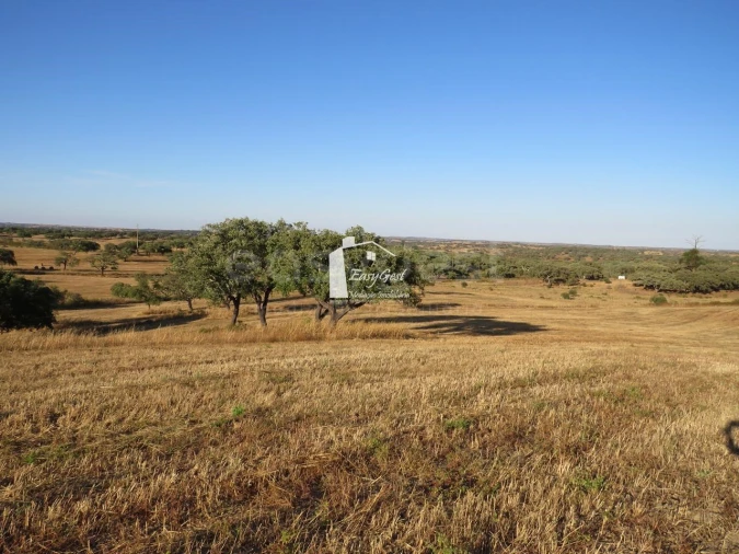 Terreno Agricola ou Rústico para Venda em Ourique Foto 3