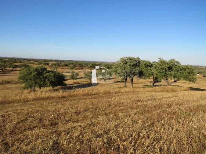 Terreno Agricola ou Rústico para Venda em Ourique Foto 5